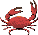 crabes