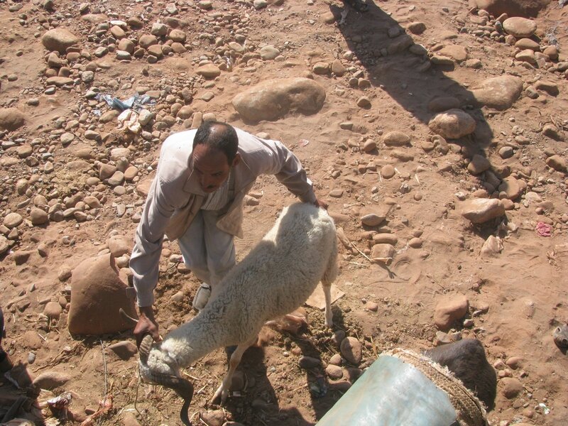 souk Tnine Ourika -Aid (17)