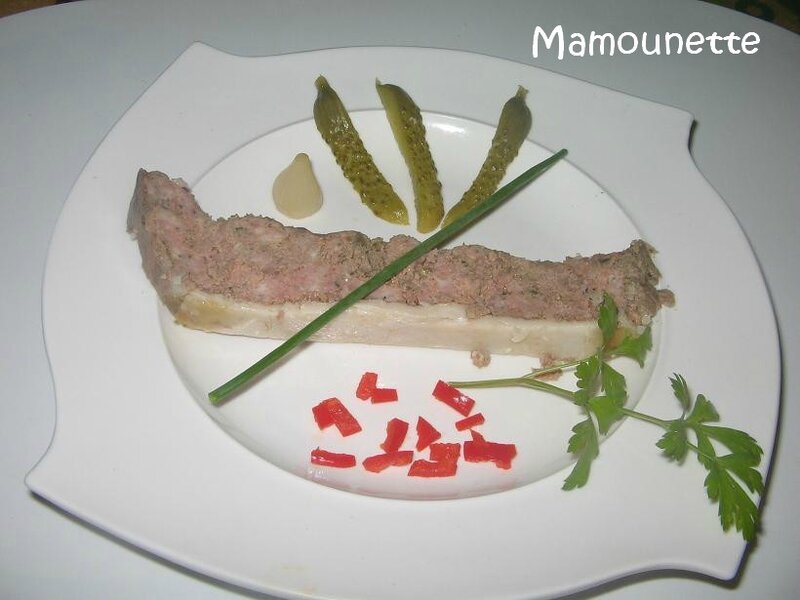 Terrine à la paysanne 017rétrécie