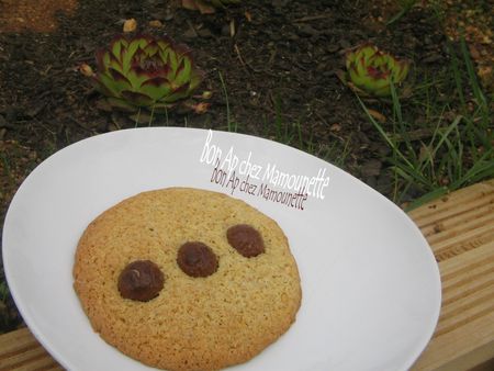Copie_de_Gros_cookies_aux_boules_kitkat_et___la_farine_T110_008