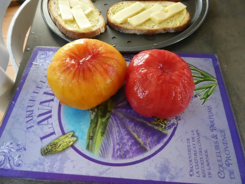 27-tomates, tomates tartines (6)