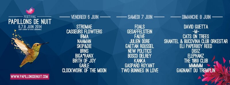festival Papillons de nuit 2014 line-up programmation P2N