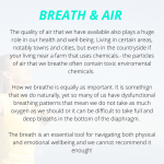 7 pillars of health breath & air