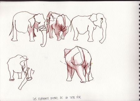elephants1red