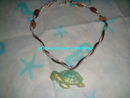 tortue_collier