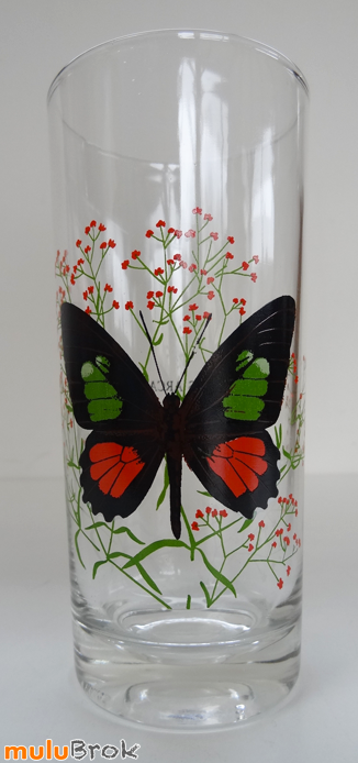 PAPILLON-Verre-8-muluBrok