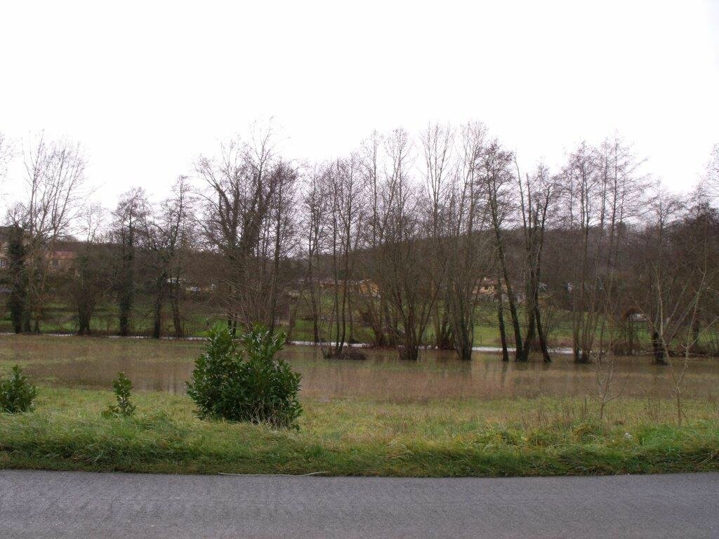 DSCF0056