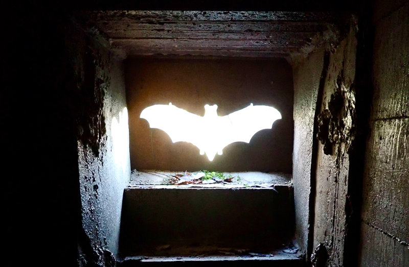 CPIE 2022 CHAUVE-SOURIS SAINT-MICHEL entrée