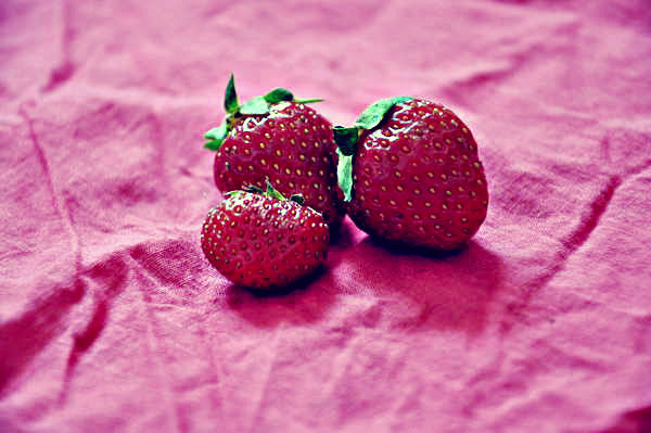 fraise