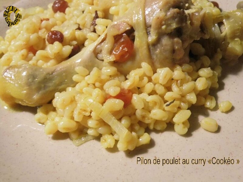 0104 Pilons de poulet au curry 2