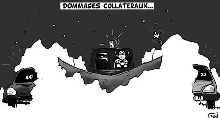 dommages_collat_raux_1