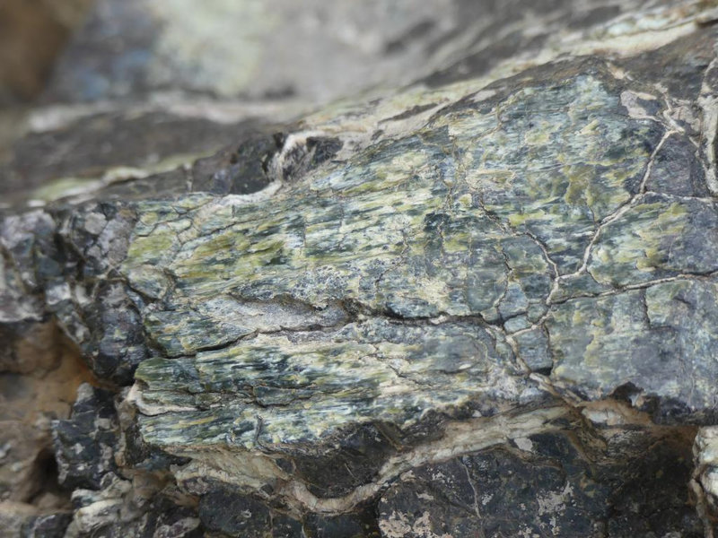 P1190390