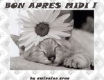 bon_apres_midi
