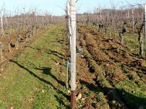 20100102_662R_Leroy
