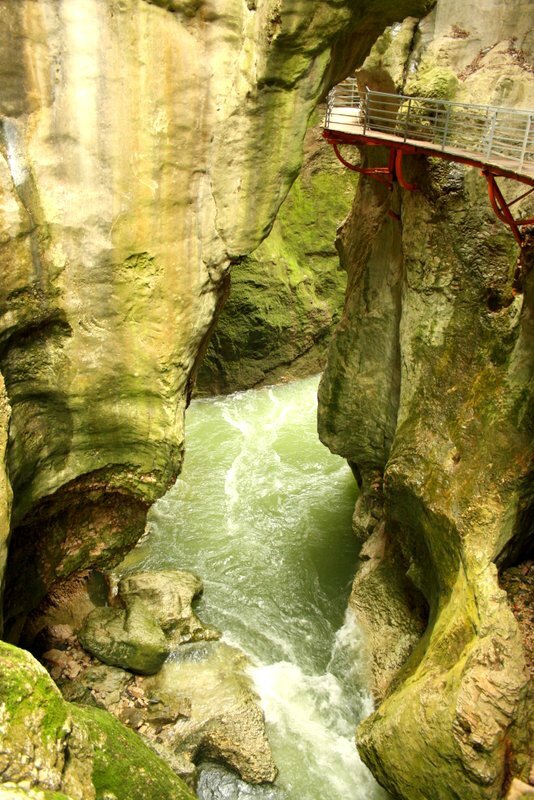 cheval - Gorges du Fier 209