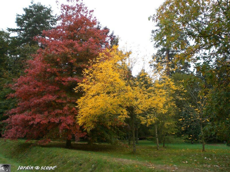 Couleurs automnales