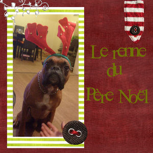 le_renne_du_pere_noel