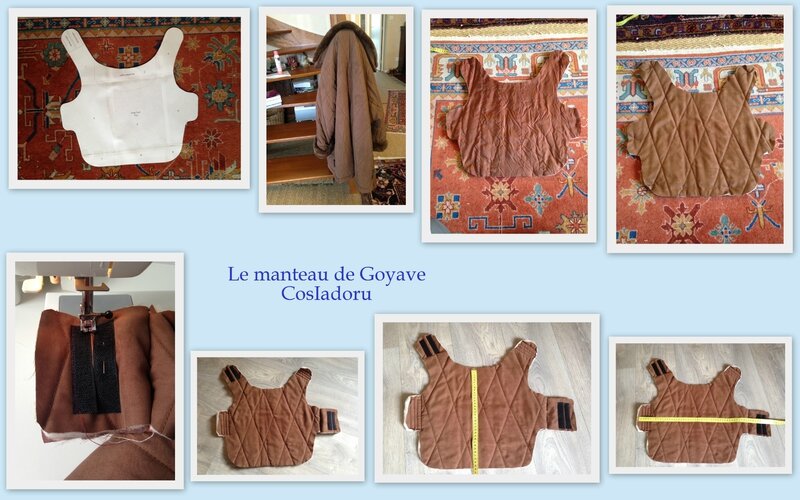 Le manteau de Goyave