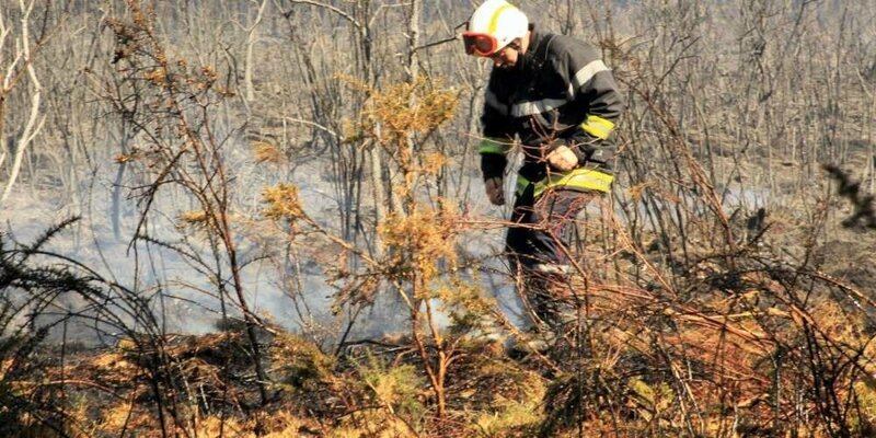 une centaine de pompiers