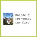 8 Balade à Frontenay sur Dive (Vienne 86)
