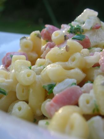 recettes plats Coquillettes alla carbonara