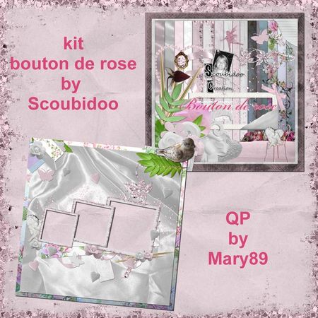 preview_Qp_by_mary89_scoubidoo_boutonderose_