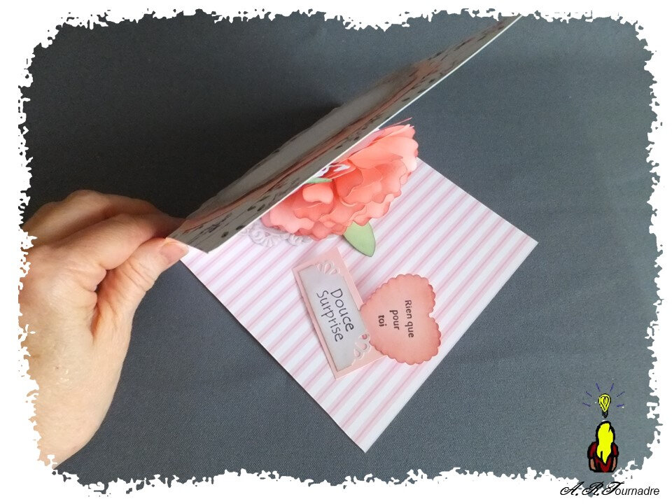 ART 2020 04 oeillet pop-up rose 3