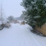 2012-12-0717