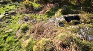 Glendalough_pierres_3a