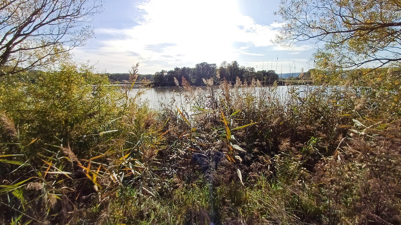 20231010_161838 - Copie