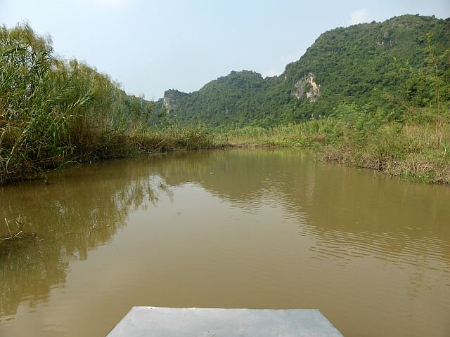 a19