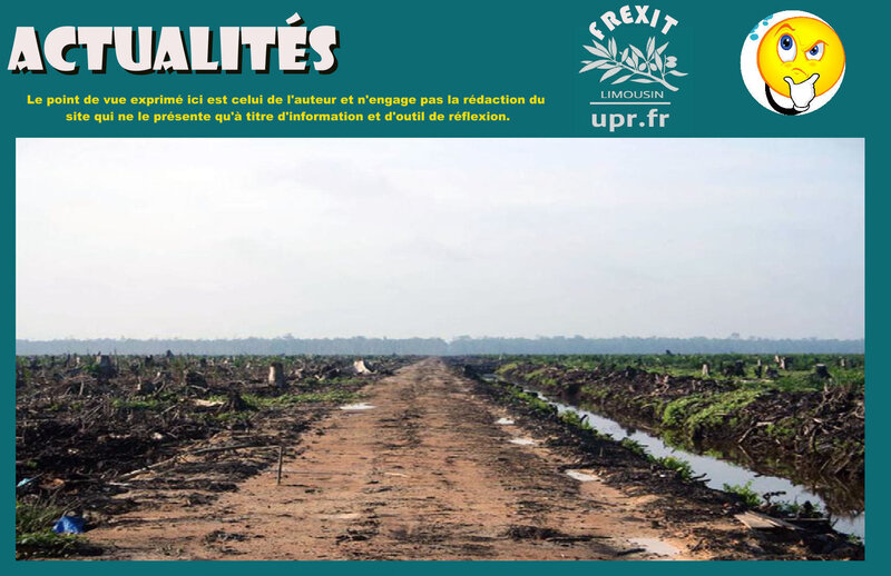 act deforestation