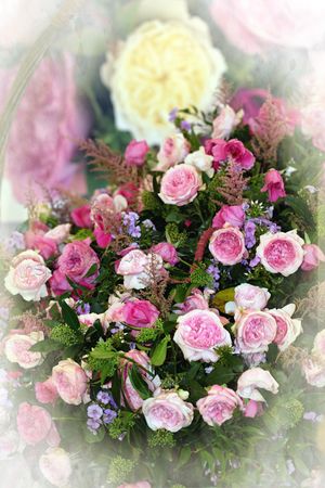 IMG_0050dxowtmk
