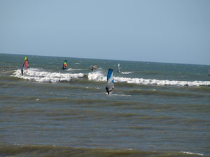 Windsurfing_Waitara__10_