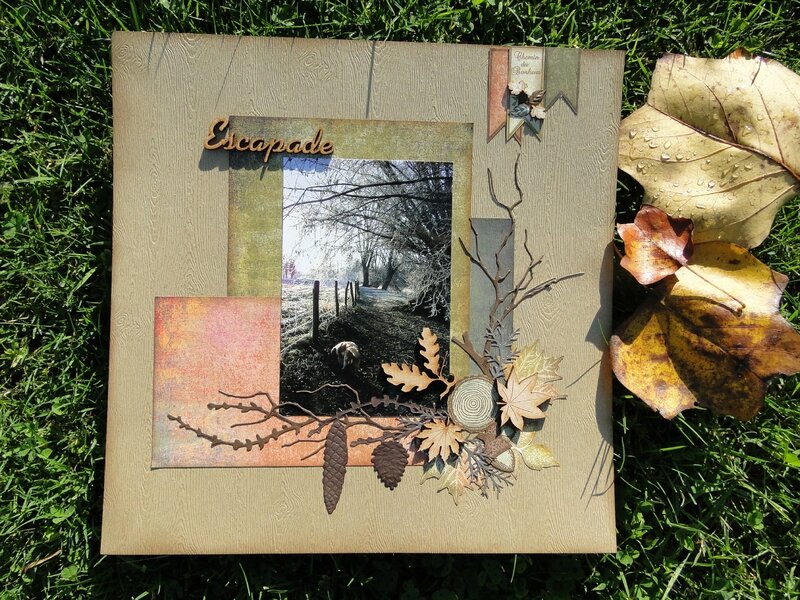 automne 002