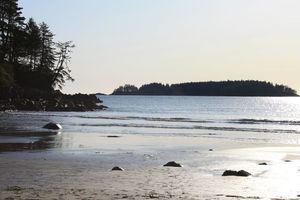 Tofino (32)