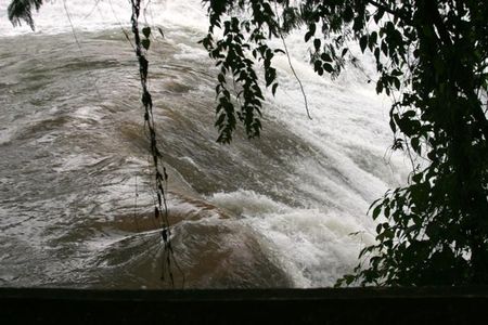 CASCADE_GROS_BOUILLON_DANS_ARBRE_2