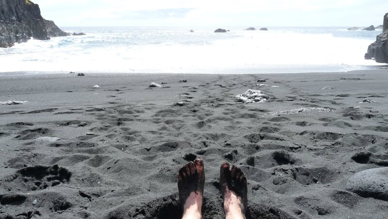 canaries15