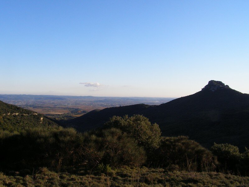 Arboras vallée de l'Hérault
