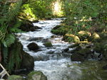Ruisseau