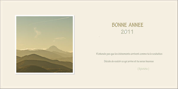 carte_de_voeux_2011_600