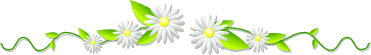 16 07 22 ligne fleurs blanches&vertes