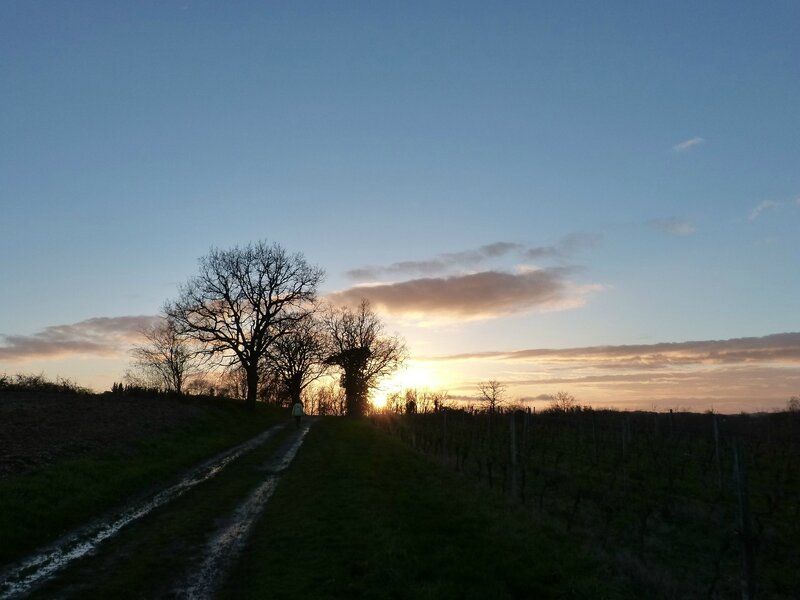 ballade-moirax-couchersoleil