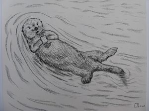 loutre_de_mer