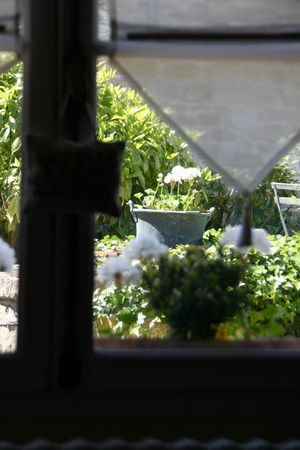 IMG_7965