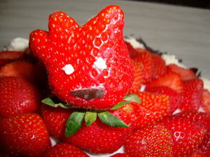 desserts_2011__7_