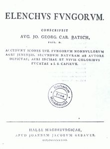 CCF05022010_00000