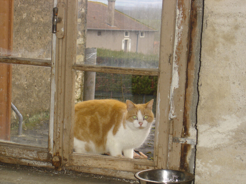 DSC05891