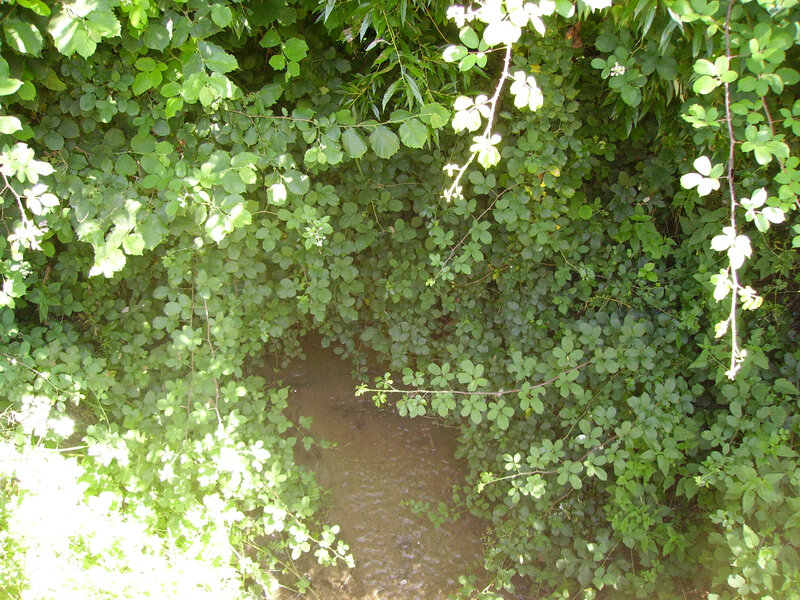 ruisseau des ribaudières 3