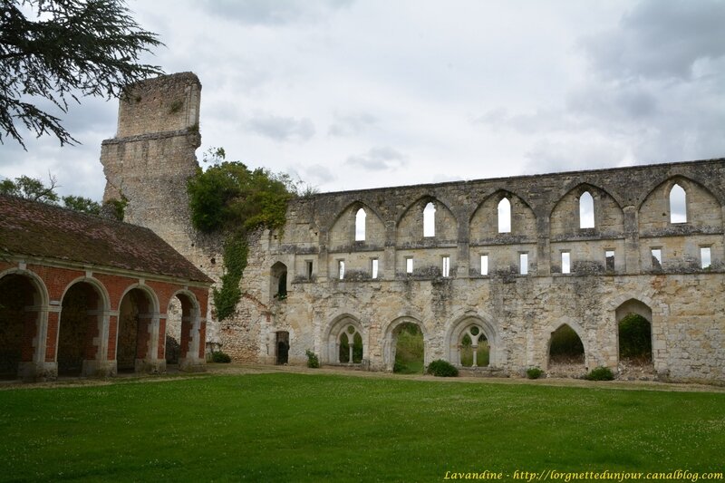 4 abbaye mortemer (39)